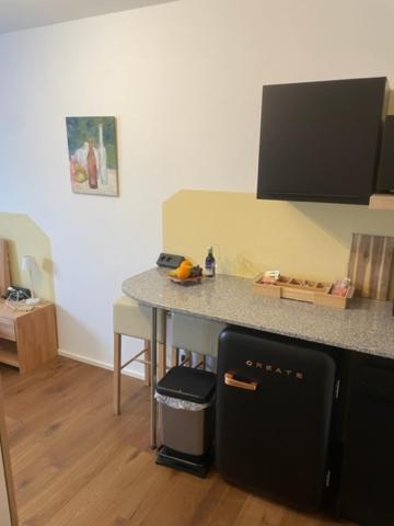 1 Zimmer Appartement Nahe Gmunden Top2 Pinsdorf Eksteriør bilde